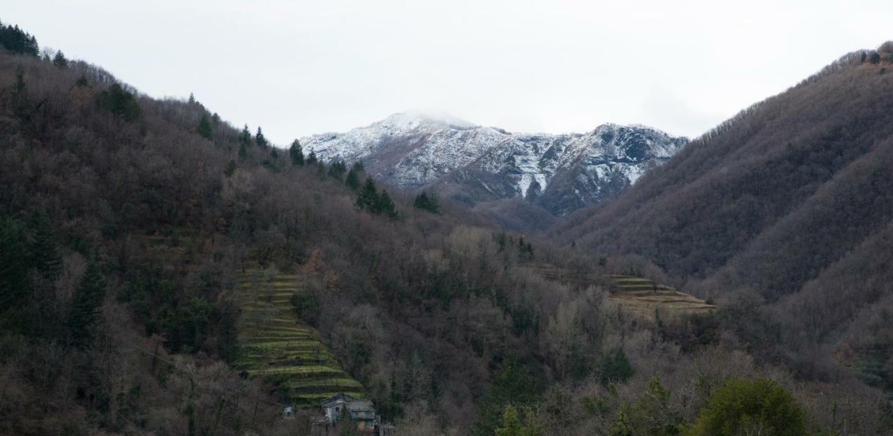 Casa Della Posta Borzonasca Exterior foto
